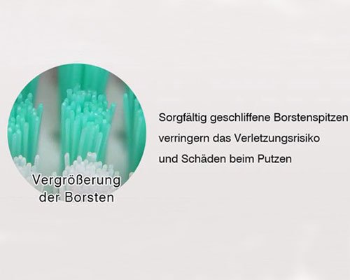 Vergroesserung der Borsten